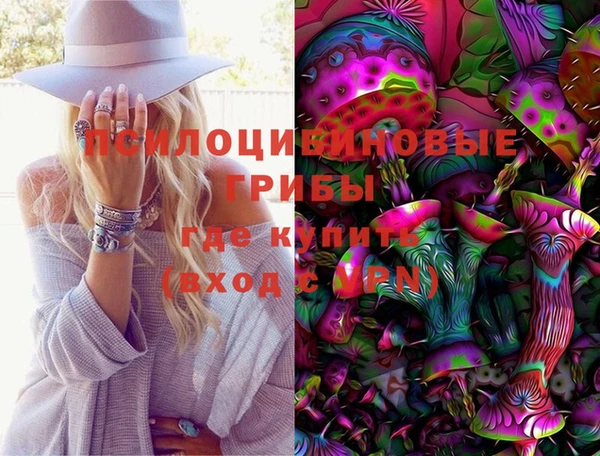 ECSTASY Мегион