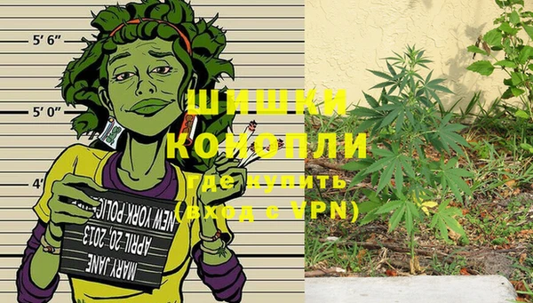 ECSTASY Мегион