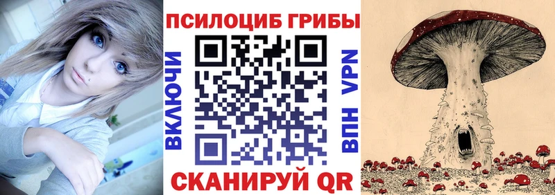 Купить Апшеронск Псилоцибиновые грибы MAGIC MUSHROOMS